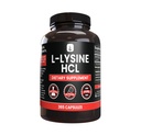 PURE ORIGINAL INGREDIENTS L-Lysine HCl (365 Capsules) Hiçbir Magnezyum Or Rice Fillers, Her Zaman Saf, Lab