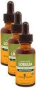 Herb Pharm, Musculo iskelet Sistem Desteği için Organik Lobelia Sıvı Türlemeyi Onayladı - 1 Ounce (DLOBEL01) (Pazar 3)