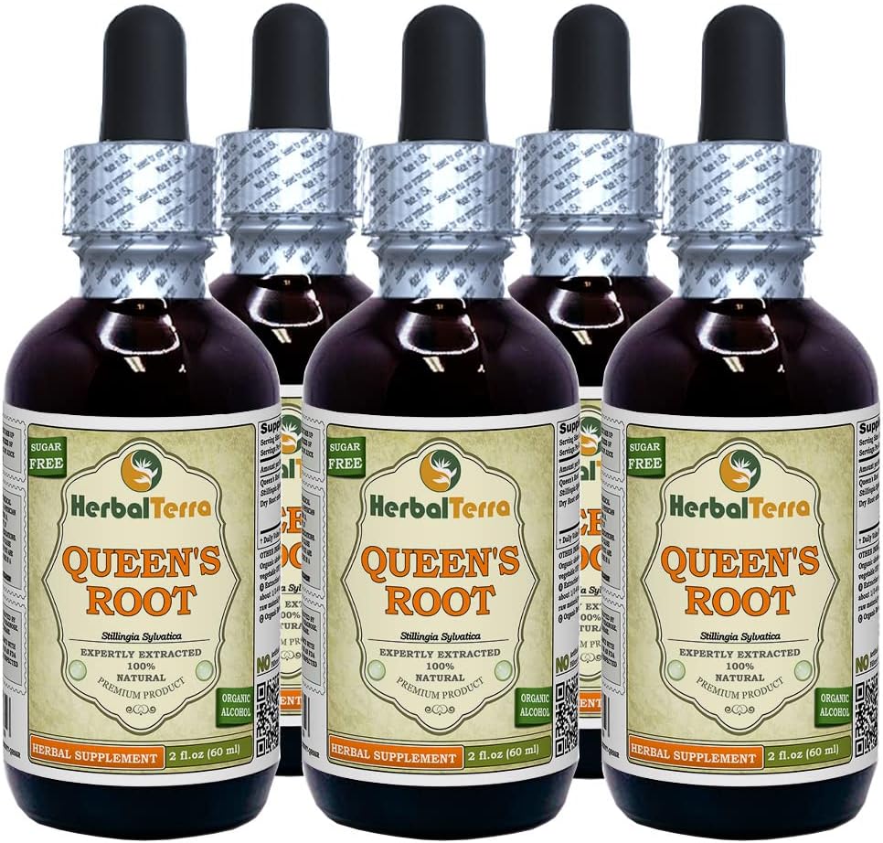 Kraliçe'nin Kökü (Stillingia Sylvatica) Tincture, kıl Kökleri Sıvı Tür (Brand Name: HerbalTerra, Proudly Made in USA) 5x2 fl.oz (5x60 ml)