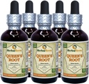 Kraliçe'nin Kökü (Stillingia Sylvatica) Tincture, kıl Kökleri Sıvı Tür (Brand Name: HerbalTerra, Proudly Made in USA) 5x2 fl.oz (5x60 ml)