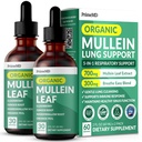 Lungs ve Bronchial için 5in-1 Mullein Drops - Respiratory Lung Health Support with Mullen Leaf Extract for Lungs - Mullein Tincture with Elderberry, Echinacea and Ginger Root (60 hizmet) (2-pack)