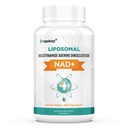 Yagabay Liposomal NAD+ 500 mg, Yüksek Aborpsiyon, TMG 250 mg ile NAD+'yı güçlendirin, Actual NAD Plus Nicotinamid Riboside'dan daha verimli, Destek Hücreleri Enerji, Sağlıklı Ağlama | 60 Softgels