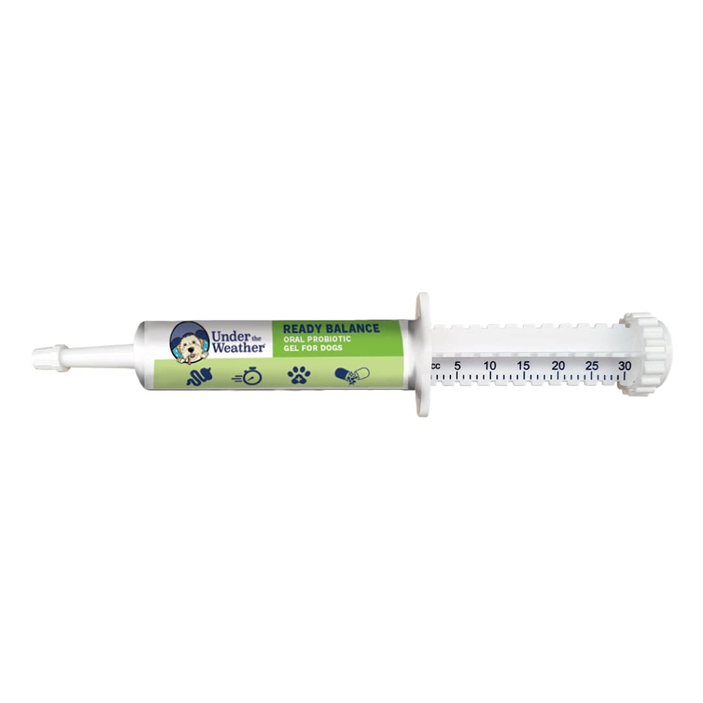 Hava Altında Pet | Köpekler için Denge | Oral Probiyotik ve Prebiyotik Gel