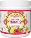 Grow Young Fitness Hydration Powder - Raspberry Lemonade, Premium Electrolyte Mix for Proactive Hydration, Vitamins and Sugar Free (1 Pack, 30 Servings)