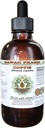 Coptis Alkol-Free Liquid Extract, Coptis (Rhizoma Coptidis) kuru Kök Glycerite Hawaii Pharm Natural Herbal Supplement 2 ozz