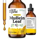 Wild & Organic Mullein Tincture - Lung Cleanse ve Detox - Echinacea ile Lungs için Sıvı Mullein Broşürü - Verbascum Thapsus Drops - Vegan, Sugar & Alkol Ücretsiz Supplement - 4 fl ozzz