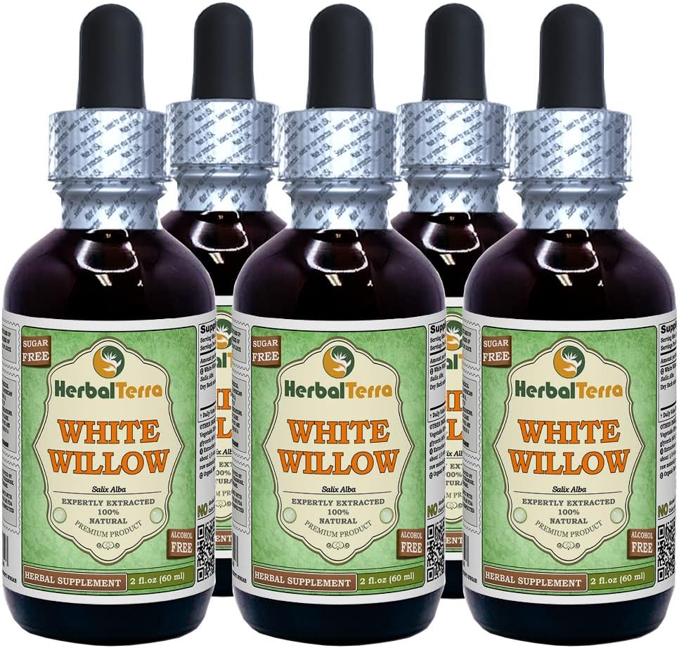 White Willow (Salix Alba) Glycerite, Organik kuru Bark Alkol-FREE Sıvı Ekstraksiyon (Brand adı: HerbalTerra, Proudly ABD'de yapıldı) 5x2 fl.oz (5x60 ml)