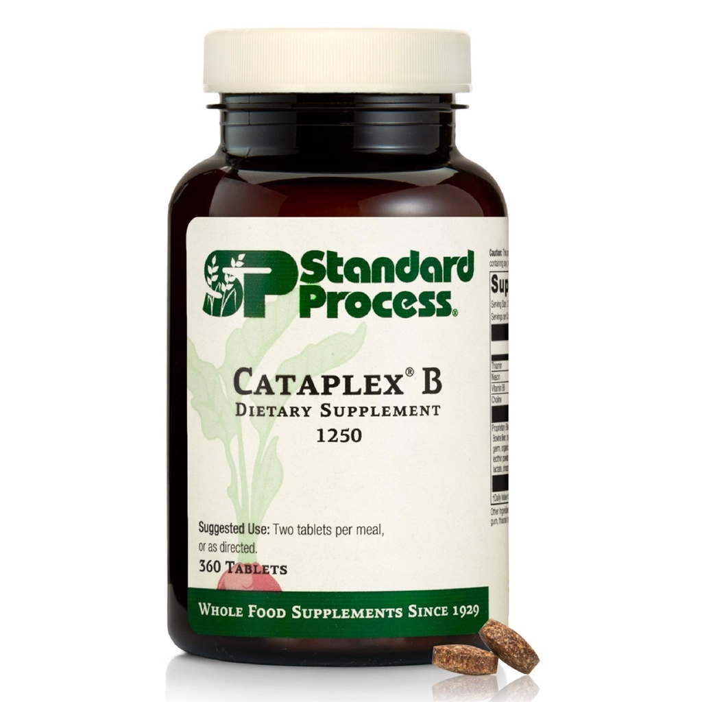 Standart Süreç Cataplex B - Niacin, Vitamin B6, Thiamine ve Inositol for Heart Health, Metabolism ve Cholesterol Bakım - 360 Tabletler