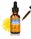 Herbm Pharm, Organik Dandelion Sıvı Türleme Temizleme ve Detoxification, Alkol Özgür Glycerite, 1 Fl Oz Oz