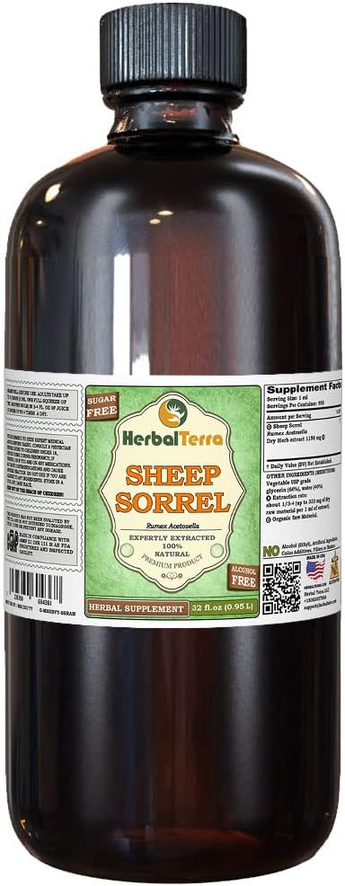 Koyun Sorrel (Rumex Acetosella) Glycerite, Organik Kuru Herb Alkol Özgür Sıvı Ekstraksiyon (Brand Name: HerbalTerra, Proudly Made in USA) 32 fl.oz (0.95 l)