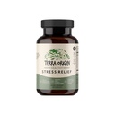 TERRA ORIGIN Sağlıklı Stres Tamam | 60 Capsules | KSM-66 Organik Ashwagandha, L-Theanine, Rhodiola Extract, Astragalus Root and Holy Basil | Stres ve Mood Destek