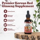 Doğal Ginsenosides ile Aktif 185 Koreli Red Panax Ginsengi - Fast-Absorbing Liquid - Sağlıklı Enerji, Vitality, Mood ve More More