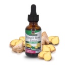 Doğa Cevap Ginger Root Extract Supplement ile Organik Alkol 1 Akışı Ounce | Ortak Ağrı Yardımı | Inflammatory Support | Sağlıklı Digestion