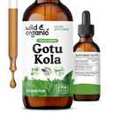 Wild & Organic Gotu Kola Herb Tincture - Beyin Desteği - Gotu Kola Sıvı Ekstraksiyon - Vegan, Sugar & Alkol-Free Centella Asiatica Supplement - 2 fl oz