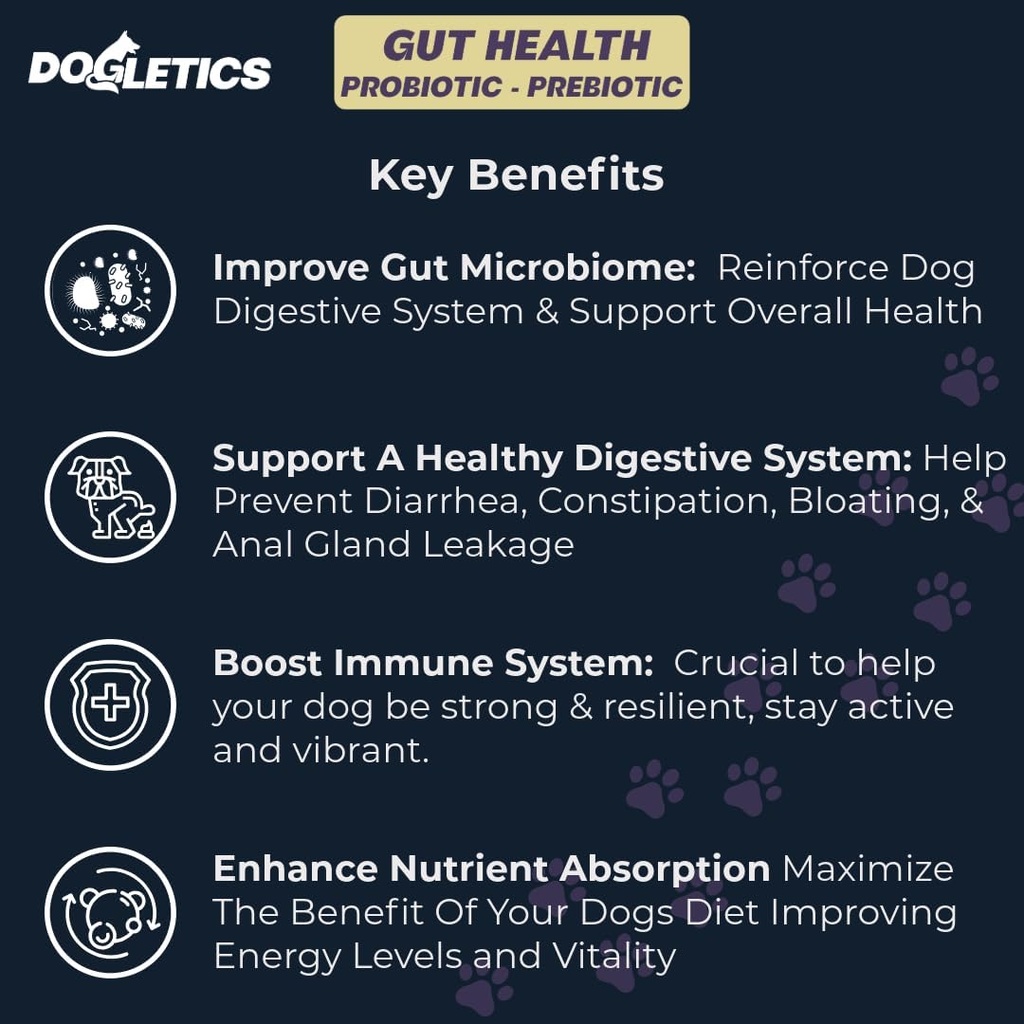 Gut Health Probiyotik & Prebiyotik - 90ct Support Stomach Microbiome, Ob Digestive Problems, Reduce Anal Gland Issues, improve Immune Function and General Energy