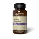 Nature's Sunshine Nutribiome Bacillus Coagulans Probiyotiks, 90 Capsules | 3 Milyar CFU of Bacillus Coagulans Probiyotik Digestive Upset ve Occasional Diarrhea, Gas ve Bloating