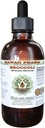 Broccoli Alkol Özgür Sıvı Ekstraksiyon, Organik Broccoli (Brassica Oleracea) Tohum Glycerite Hawaii Pharm Natural Herbal Supplement 2 oz