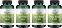 Swanson Holy Basil Leaf (Tulsi) - Stres Desteği ve Well-Being Supplement - (120 Capsules, 800 mg Per Service) (4 Pack)