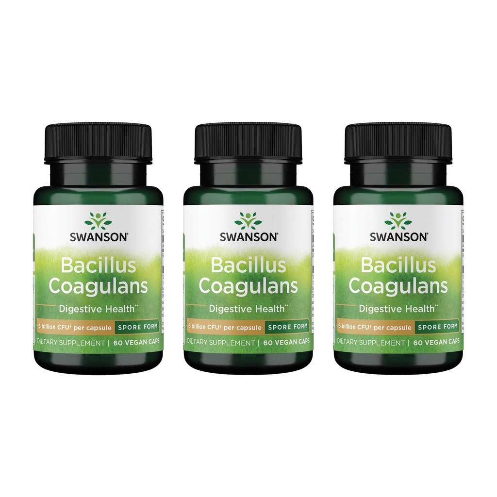 Swanson Bacillus Coagulans - Natural Probiyotik Supplement Supporting Digestive Health w/ 6 Milyar CFU - GI & General Gut Health - (60 Veggie Capsules) 3 Pack