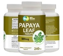 Papaya Leaf Extract Capsules (Tablets) - 500 mg 240 Pills, Destekler Plalet Immunity & Digestion - 60 Days Supply Supply