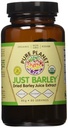 Pure Planet Just Barley Organik Toz - 80 Hizmet, 2 paket