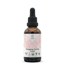 Nettle Leaf USDA Organik Alkol Ücretsiz Ekstraksiyon | Diyetsel Tamam, Yüksek Yeterlilik Tincture | Doğal Onaylı Organik Sting Nettle (Urtica Dioica)