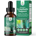 sertifikalı Organik Lymphatic Yükselme Drops - Herbal Lympha Cleanse ve Immune Support Supplement with Echinacea Goldenseal & Red Clover Extract - Vegan Non GMO Alkol ve Şeker Ücretsiz - 30 Hizmetler