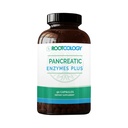Dr. Izabella Wentz | Pancreatic Enzymes Plus | Giric Paint Lipase, Protease & Amylase Mixs with Bromelain | 90 Capsules