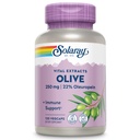 SOLARAY Zeytin 250 mg - Zeytin Yumurtası Capsules% 22 Ol Europein, Plus Lemon Balm - Polifenols Supplement for Wellness Support - Vegan, 60 Günlük Garanti, Lab TY - 120 Hizmet, 120 VegCaps