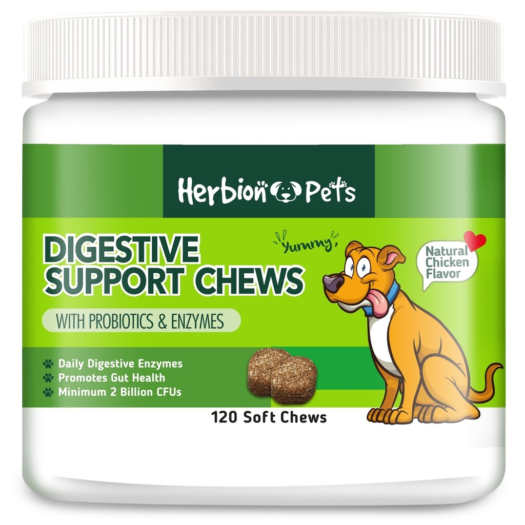 Herbion Evcil hayvanlar Probiyotiks & Enzymes ile Chews, 120 Soft Chews, Daily Digestive Enzymes ile iyileştirilmiş Gut Health için, Minimum 2 Milyar CFU'lar için ABD'de Yapıldı