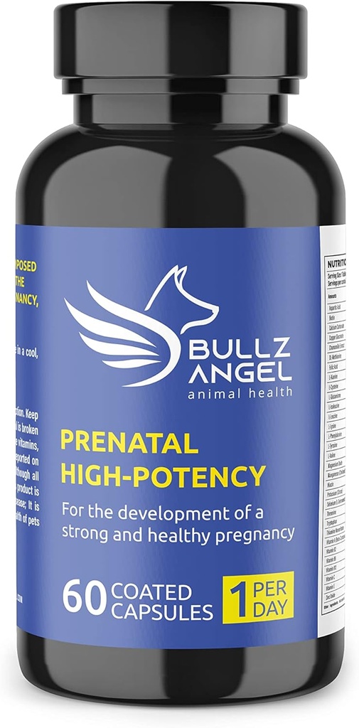 Prenatal Yüksek Lisans