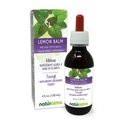 Naturalma Lemon Balm (Melissa officinalis) Leaf Alkol Özgür Tincture - 4 fl oz Sıvı Ekstraksiyon - Herbal Supplement - Vegan