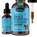 Animal Essentials Daily Digestion for Dogs & Cats - Digestive Support, Fresh Breath, Ginger Root, Fennel Tohum Ekstraksiyon, Sıvı Tamam - 2 Fl Oz