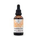 Dandelion Root alkol-Free Natural Tincture Extract, Immune System ATM, Sıvı Drops %100 Dandelion (Taraxacum officinale) kuru Kök (2 fl oz)