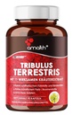 Amalth Tribulus Terrsestris, 20:1 Tür Tanıtımı, Ashwagandha, Saw Palmetto, Shilajit 120 Capsules