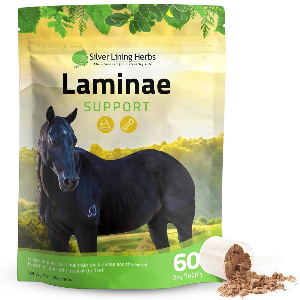 Laminae Hoof Supplements for Horses - 1 lb | Hoof Supplements for Horses, White Willow Bark & Devil's Claw, Laminitis & Founder Support, NASC Certified, Made in USA