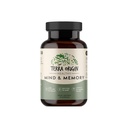 TERRA ORIGIN Sağlıklı Zihin ve Hafıza Desteği Tamam | Bilişsel Bellek Matrix | Nootropic CDP, Bacopa, L-Tyrosine, Huperzine A, Ginko, B12 | GMO, Gluten Free, Dairy Free | 30 Capsules