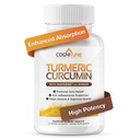 Organik Turmeric & Ginger Capsules - Turmeric Curcumin with Ginger & BioPerine,% 95 Curcuminoids - Ortak, Digestion, Immunity Support, Black Pepper Ekstraksiyon for Abfus