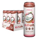 MITRA-9 İçecekler Botanikleri - Bali Kökleri ile İçmek - Mood Advancedr - Plantive - Doğal Calm & Clarity (12 Fl. Oz) (12)