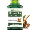 Tnvitamins Boswellia Extract Capsules, 120 Kont | 1.200 mg Per Capsule | 65 Boswellic Acids + 10:1 Yoğun Türleme | Boswellia Serrata | Ortak ve Hareketli Destek*