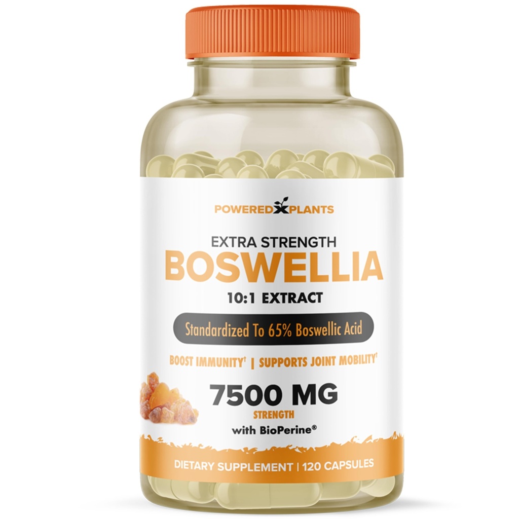 Boswellia Serrata Extract Joint Support Supplement by Powered by Plant – 65 Yüksek Potency Boswellic Acids with BioPerine – Supports Immunity, Mobility & Flexability – 120 Vegan Capsules