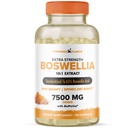 Boswellia Serrata Extract Joint Support Supplement by Powered by Plant – 65 Yüksek Potency Boswellic Acids with BioPerine – Supports Immunity, Mobility & Flexability – 120 Vegan Capsules