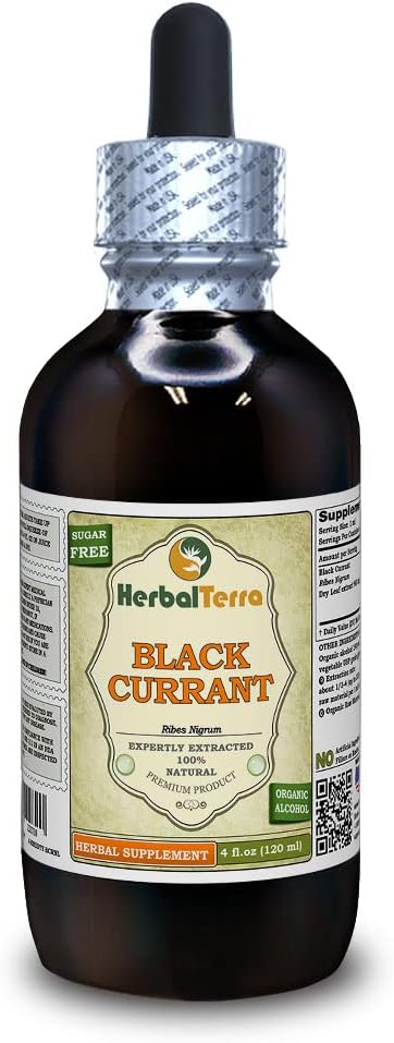 Black Currant (Ribes nigrum) Tincture, incelik sıvı alıntı (Brand Name: HerbalTerra, Proudly Made in USA) 4 fl.oz (120 ml)