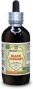 Black Currant (Ribes nigrum) Tincture, incelik sıvı alıntı (Brand Name: HerbalTerra, Proudly Made in USA) 4 fl.oz (120 ml)