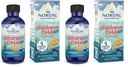 Nordic Naturals Children's DHA Xtra, Berry Punch - 2 oz for Kids - 880 mg Total Omega-3s with EPA & DHA - Bilişsel & Immune Function, Learning, Social Development - Non-GMO - 48 Services (Pack of 2)