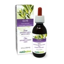Naturalma Olive (Olea europaea) Leaf Alkol Ücretsiz Tincture - 4 fl oz Sıvı Ekstraksiyon - Herbal Supplement - Vegan