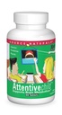 Source Naturals Attentive Child - Aktif Çocuklar için Sağlıklı Bilişsel Beslenmeler - DMAE, Magnezyum, çinko & Grape Tohum Takması - 60 Tabletler