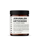 Erbology Organic Jerusalem Artichoke Powder 3.2 oz - 45 Servings - Sunchoke - 50% Prebiotic Inulin Fiber - Supports Gut Health and Promotes Diverse Microbiome - Feed Good Bacteria - Gluten-Free