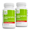 Terry Natural Andrographis EP80 Ekstra Kuvvet - Beyin Sağlığı ve Immune Desteği - Enerji ve Yaşam Yardım Hareketliliği için Ortak Sağlık Desteği - Enerji ve Canlı Destek için Adaptogen Supplement - 60 Capsules (Pack of 2)