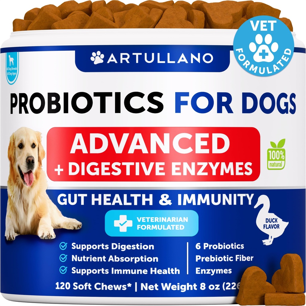 Köpekler için Probiyotikler - Gut Health, Itchy Skin, Allergies, Immunity, Yeast Balance - Dog Probiyotiks and Digestive Enzymes with Prebiyotiks - Diarrhea, Gas - 120 Probiyotik Chews for Dogs